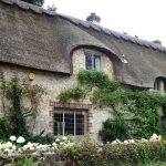 Amberley from London Country Tours